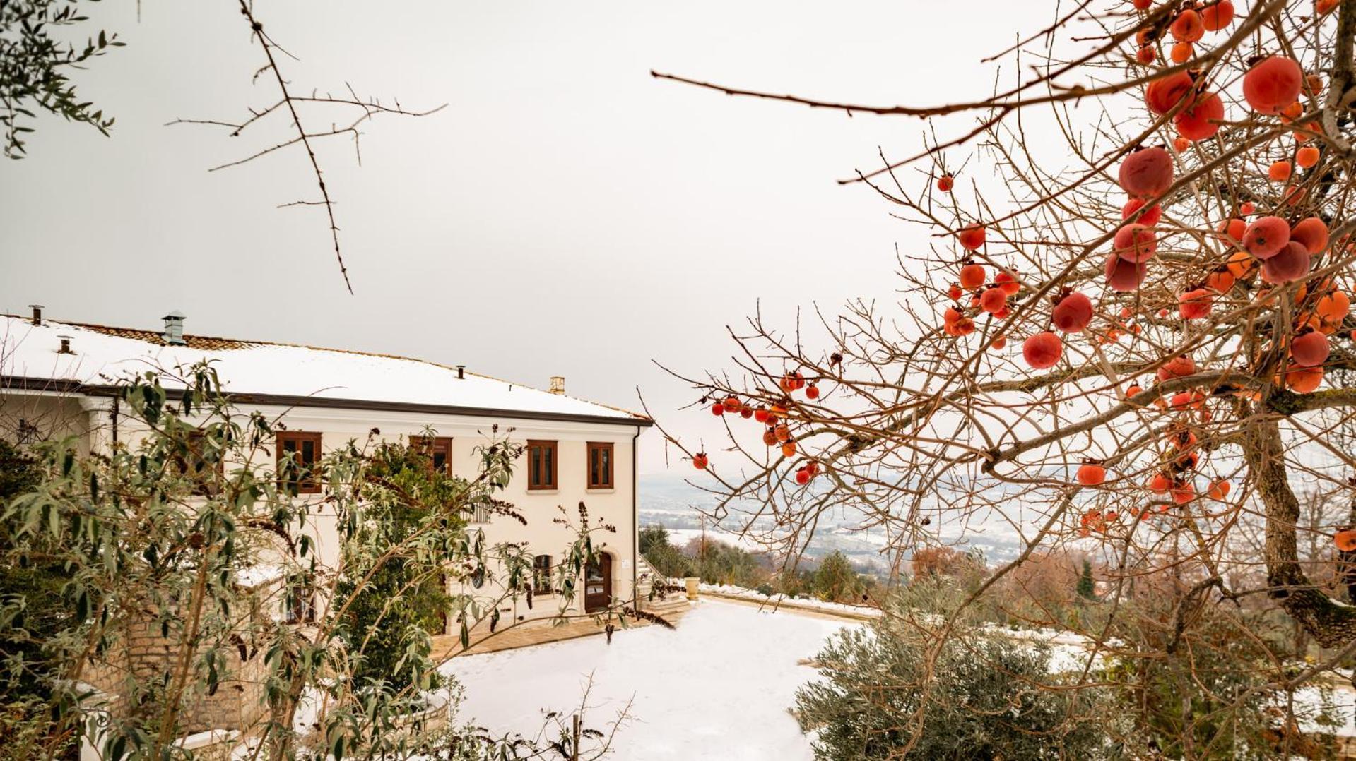Il Mulino Della Signora Luxury Country House Frigento 外观 照片